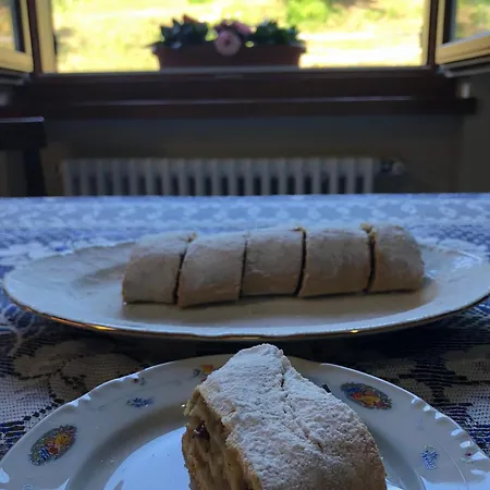 Nocleg ze śniadaniem Bed An Breakfast Aurora